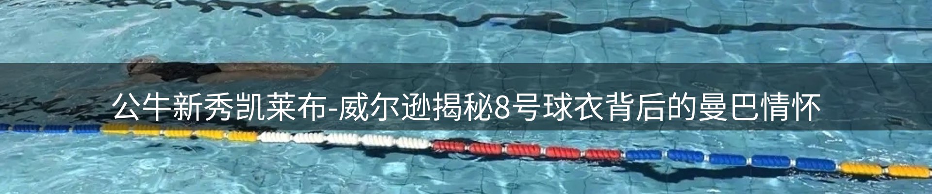 行业报道